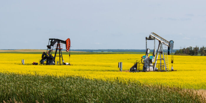 Two,Oil,Wells,In,A,Bright,Yellow,Canola,Field,On